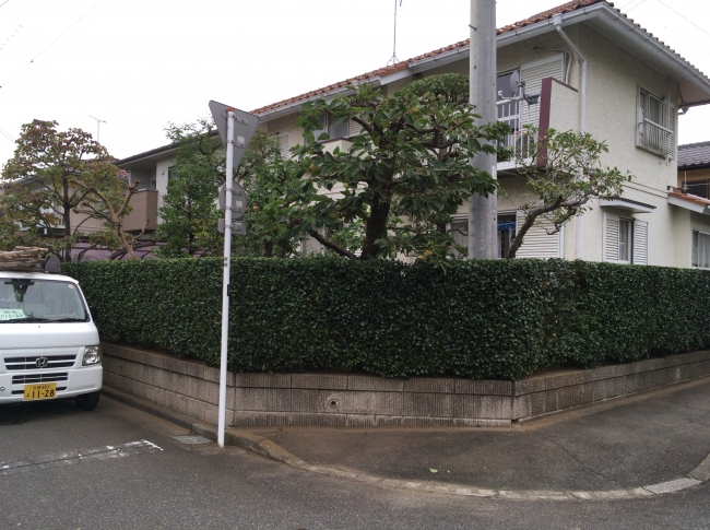 刈込み鋏 「京都門型」「リョウテ」 | ZOEN ARAI PHOTO