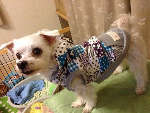 coccoloブランド