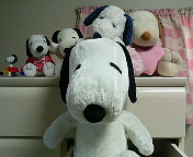 SNOOPY¥³¥ì¥¯¥·¥ç¥ó¢ö
