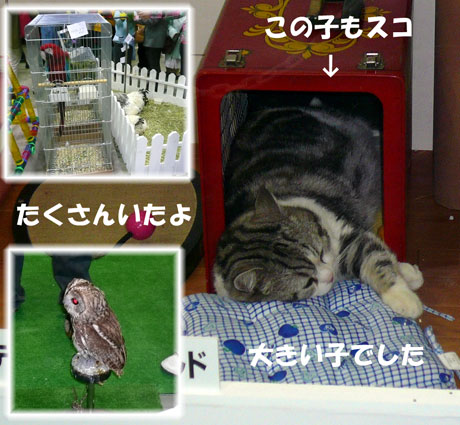 イベント画像