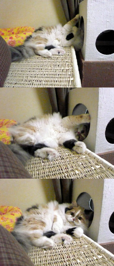 ふんふんふん