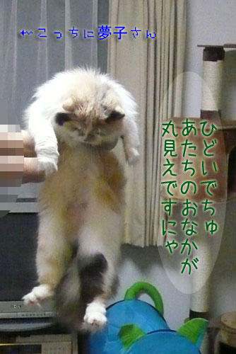垂れています・・・・