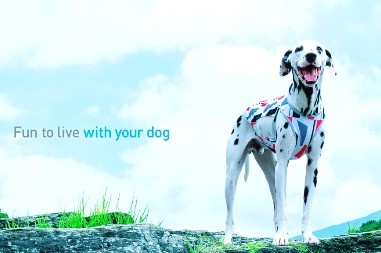 新品 2025秋冬モデルALPHAICON エアライナー 1Lサイズ ALPHAICON AUTUMN WINTER 2025 COLLECTION