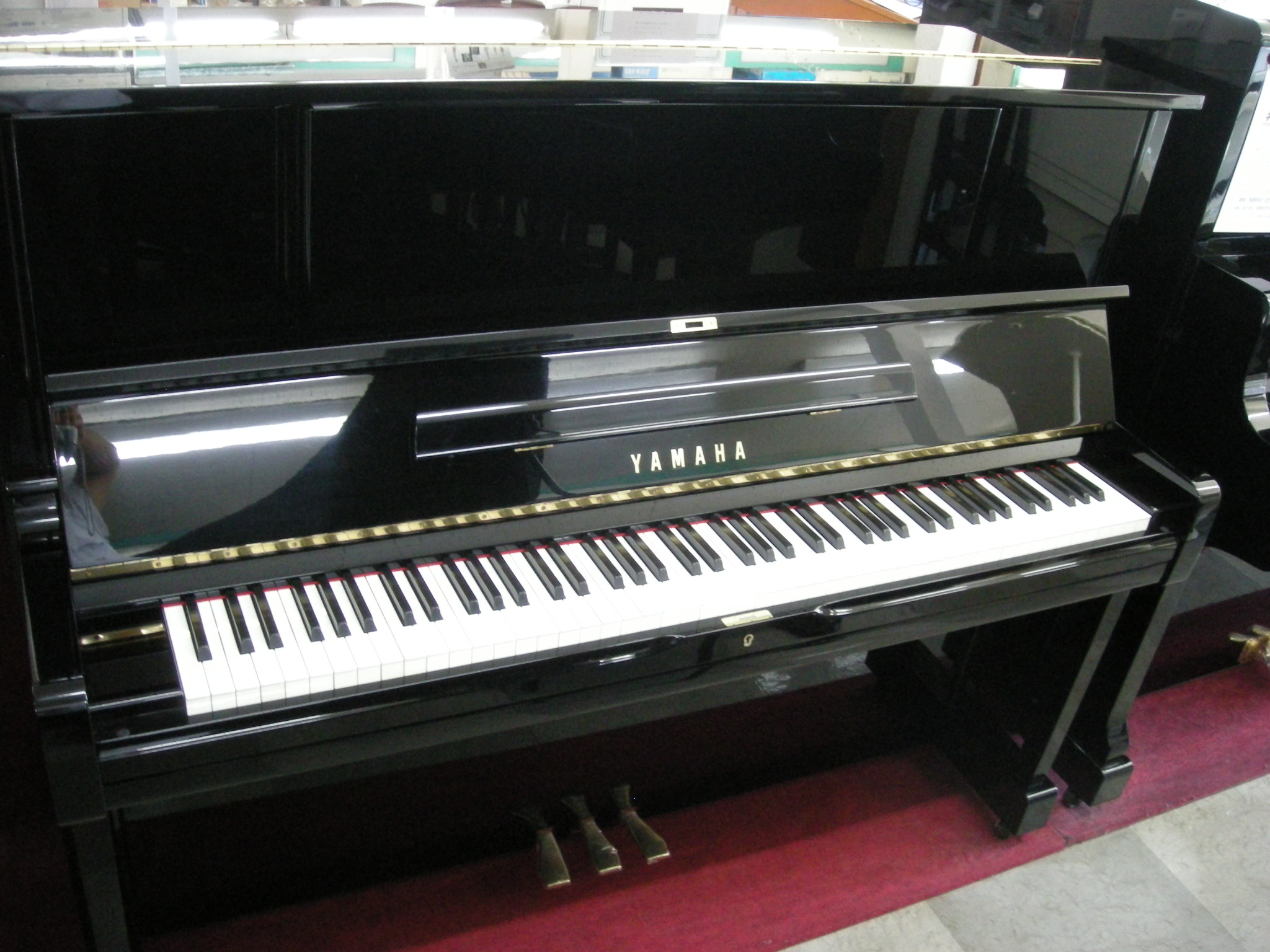 Y-YX1