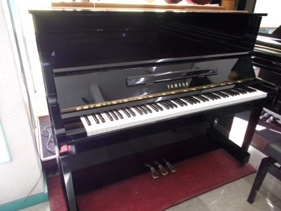MC301285.JPG