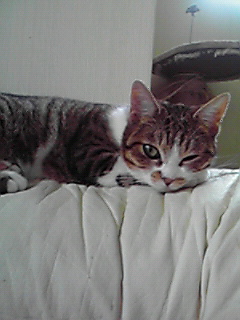 200905191732000.jpg