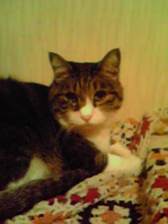 201011111720000.jpg