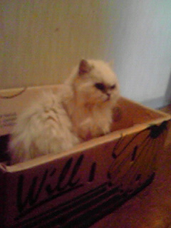 200907081744000.jpg