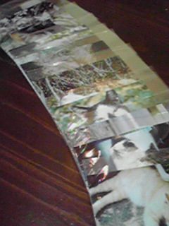 201201161427000.jpg