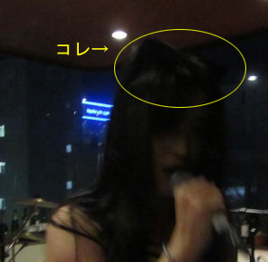 やっぱ目立たない