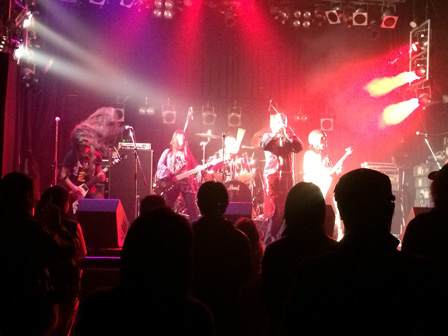 Octopus Rocks Springfield