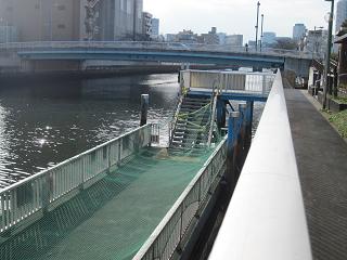 桟橋