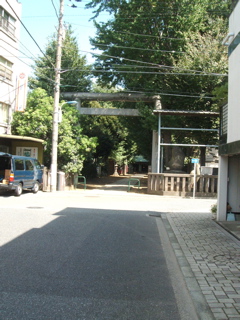 20070921 すぐそばにある緑