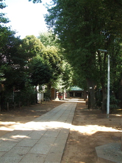 20070921 緑いっぱい