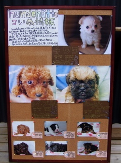 ¤³¤¤¤Ì¥Ü¡¼¥É20071019-2