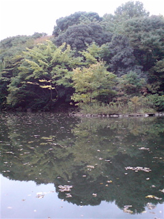 20071105»°»ÍϺÃÓ3