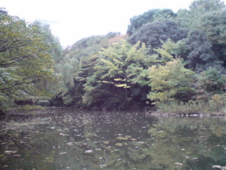 20071105»°»ÍϺÃÓ4