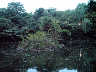 20071105»°»ÍϺÃÓ6