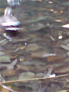 20071225»°»ÍϺÃӤγû2