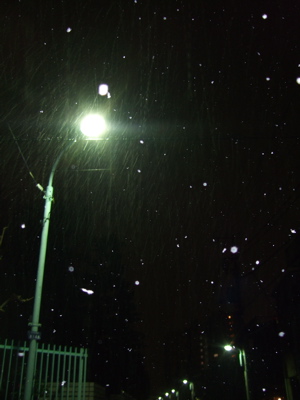 20080117初雪3-300