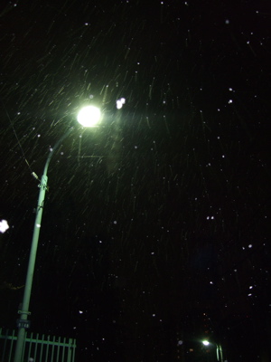 20080117初雪5-300