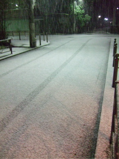 20080209Àã4