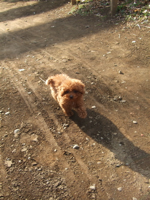 20080229レッドくん1