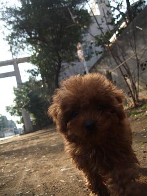 20080229レッドくん3