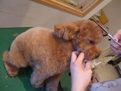 20080301-m5