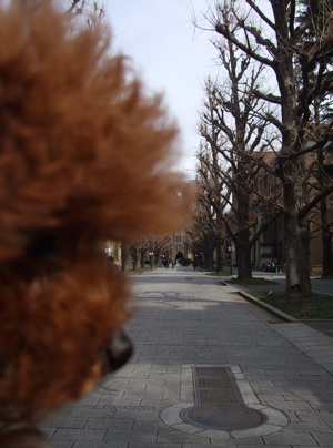 20080302レッドくん、東大おさんぽ3-300