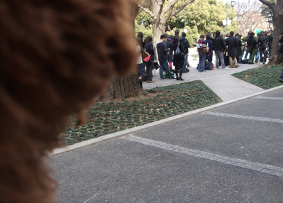 20080302レッドくん、東大おさんぽ7-400