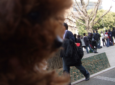 20080302レッドくん、東大おさんぽ8-400