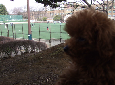 20080302レッドくん、東大おさんぽ28-400