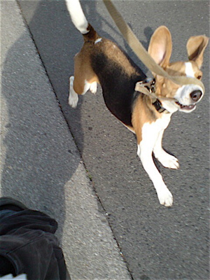 20080304-m1