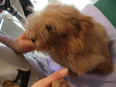 20080305-l6