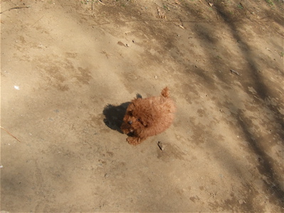 20080307レッドくん12