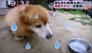 ¾ã³²¸¤¥¿¥í¡¼2