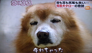 ¾ã³²¸¤¥¿¥í¡¼7