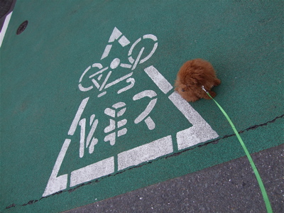20080327おさんぽ11
