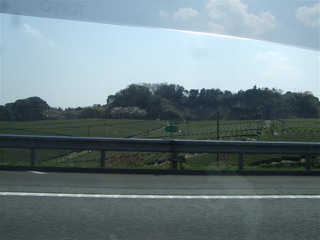 20080403-04̾¸Å²°28