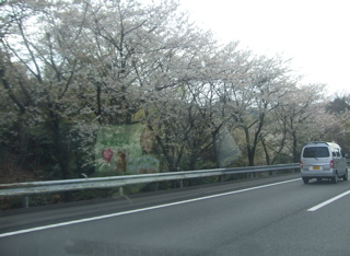 20080403-04̾¸Å²°29