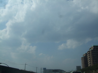20080403-04̾¸Å²°36