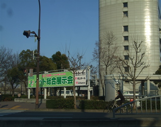 20080403-04̾¸Å²°47