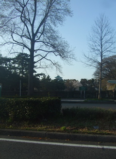 20080403-04̾¸Å²°51