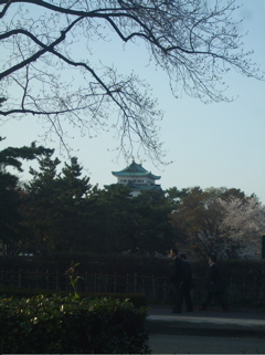 20080403-04̾¸Å²°52