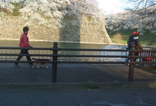 20080403-04̾¸Å²°56
