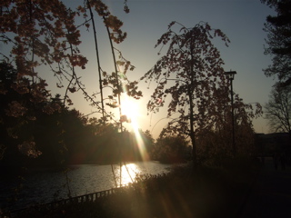 20080403-04̾¸Å²°66