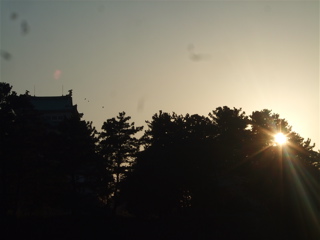 20080403-04̾¸Å²°68