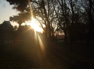 20080403-04̾¸Å²°69