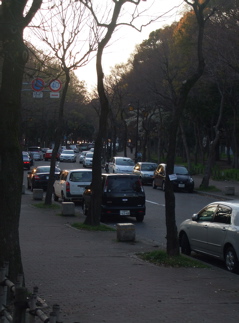 20080403-04̾¸Å²°71